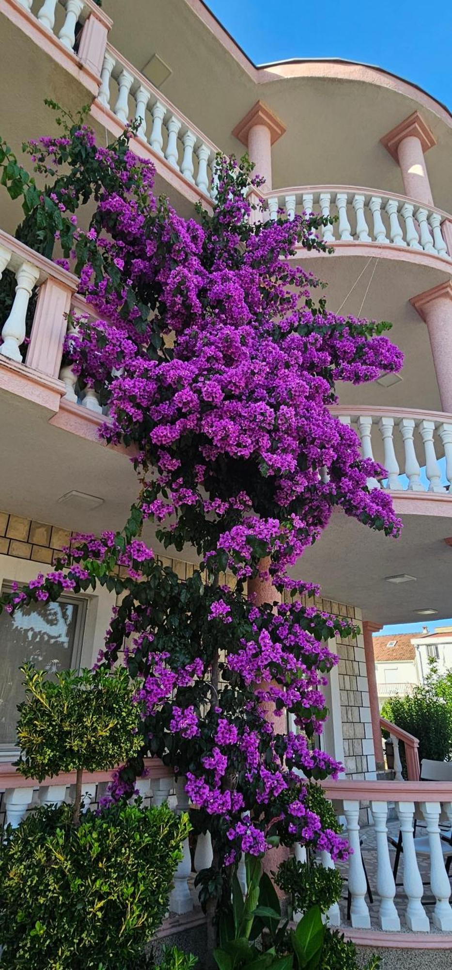 Kurt Apartaments Ούλτσιν Εξωτερικό φωτογραφία
